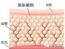 https://img.miyanlife.com/mnt/timg/180825/12430VW8-4.jpg