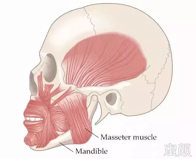https://img.miyanlife.com/mnt/timg/180825/13410611W-5.jpg