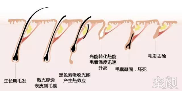 https://img.miyanlife.com/mnt/timg/180825/14031W5D-1.jpg