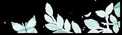 https://img.miyanlife.com/mnt/timg/180825/140J51536-12.jpg