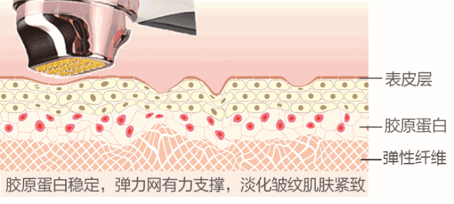 https://img.miyanlife.com/mnt/timg/180825/140J562T-13.jpg