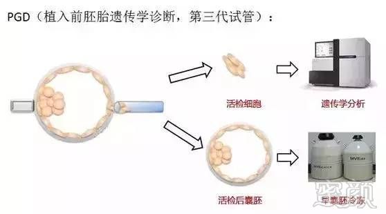 https://img.miyanlife.com/mnt/timg/180826/12450H3V-2.jpg