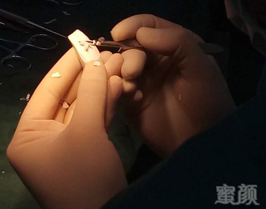 https://img.miyanlife.com/mnt/timg/180826/13052L414-8.jpg
