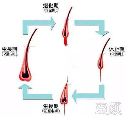 https://img.miyanlife.com/mnt/timg/180827/11094S0K-1.jpg