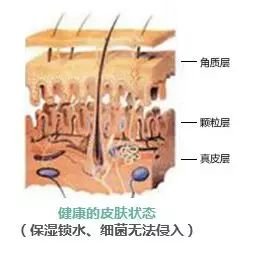 案例图片