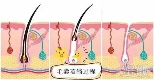 https://img.miyanlife.com/mnt/timg/180827/12023Ua4-4.jpg