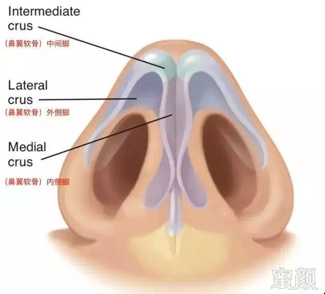 案例图片