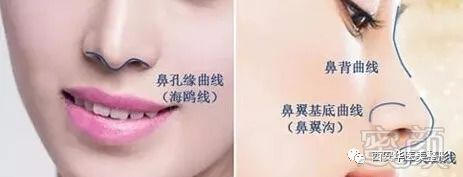 https://img.miyanlife.com/mnt/timg/180827/12335962L-2.jpg