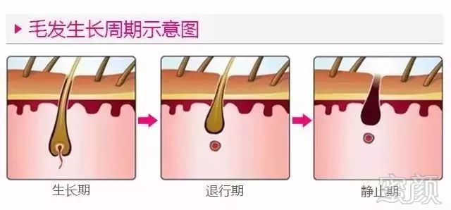 https://img.miyanlife.com/mnt/timg/180828/1200042348-14.jpg