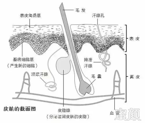 https://img.miyanlife.com/mnt/timg/180828/1201122c4-5.jpg