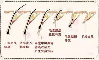 https://img.miyanlife.com/mnt/timg/180828/12011355W-8.jpg
