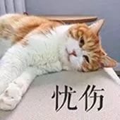 https://img.miyanlife.com/mnt/timg/180828/121241II-3.jpg