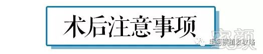 https://img.miyanlife.com/mnt/timg/180828/1230123438-2.jpg