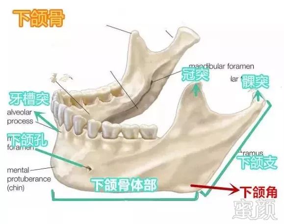 https://img.miyanlife.com/mnt/timg/180829/103A4M05-1.jpg