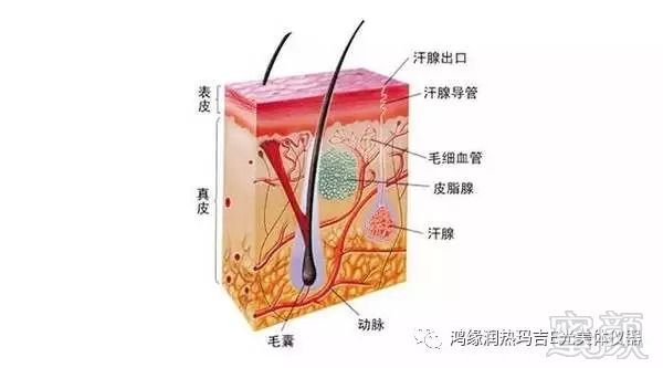 https://img.miyanlife.com/mnt/timg/180829/1112093231-1.jpg