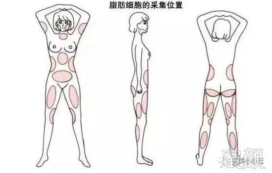 https://img.miyanlife.com/mnt/timg/180829/11243112V-5.jpg