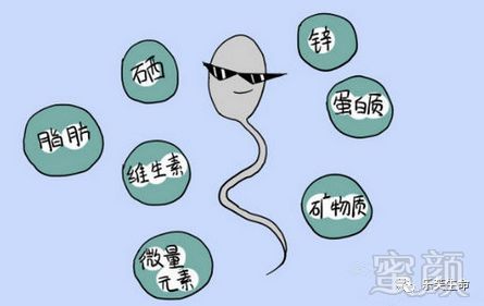 https://img.miyanlife.com/mnt/timg/180829/11315B492-1.jpg