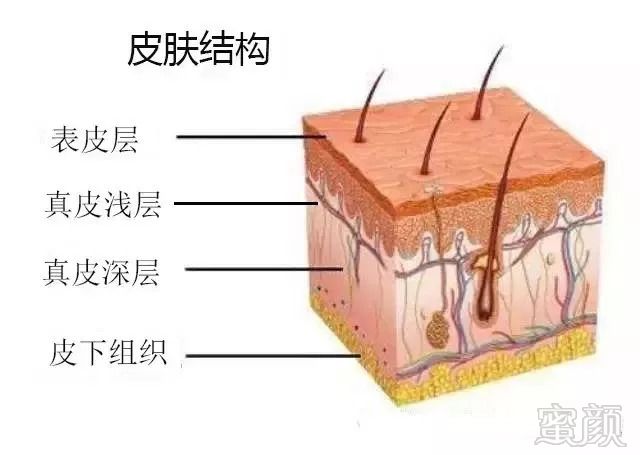 https://img.miyanlife.com/mnt/timg/180829/11423U331-2.jpg