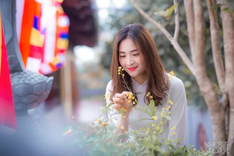https://img.miyanlife.com/mnt/timg/180829/1143494U5-7.jpg