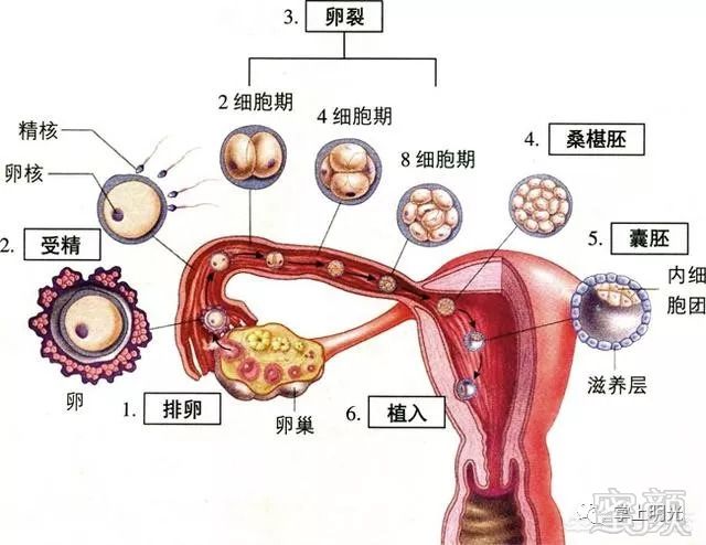 https://img.miyanlife.com/mnt/timg/180830/113423AX-1.jpg