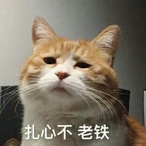 https://img.miyanlife.com/mnt/timg/180830/11445952K-4.jpg