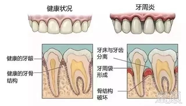 https://img.miyanlife.com/mnt/timg/180830/1144596127-5.jpg
