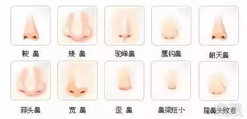 https://img.miyanlife.com/mnt/timg/180831/13332Q525-2.jpg