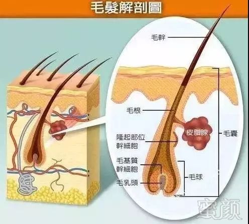 https://img.miyanlife.com/mnt/timg/180831/133T16158-1.jpg