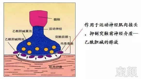 https://img.miyanlife.com/mnt/timg/180901/1121591648-2.jpg
