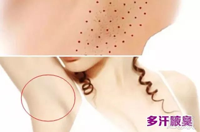 https://img.miyanlife.com/mnt/timg/180901/11215aE9-3.jpg