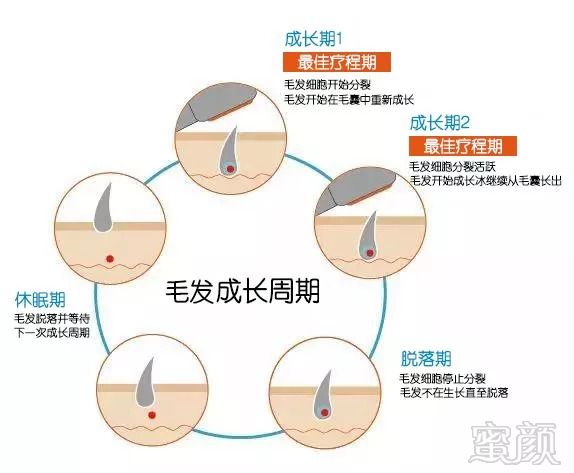 https://img.miyanlife.com/mnt/timg/180901/13491044G-3.jpg