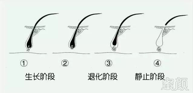 https://img.miyanlife.com/mnt/timg/180901/1349105X6-2.jpg