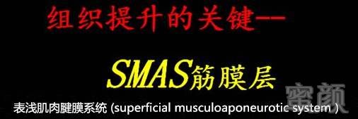 https://img.miyanlife.com/mnt/timg/180902/10502L645-4.jpg