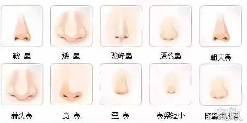https://img.miyanlife.com/mnt/timg/180903/11322L145-5.jpg