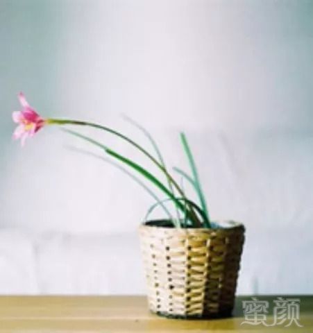 https://img.miyanlife.com/mnt/timg/180903/12210S1Z-0.jpg