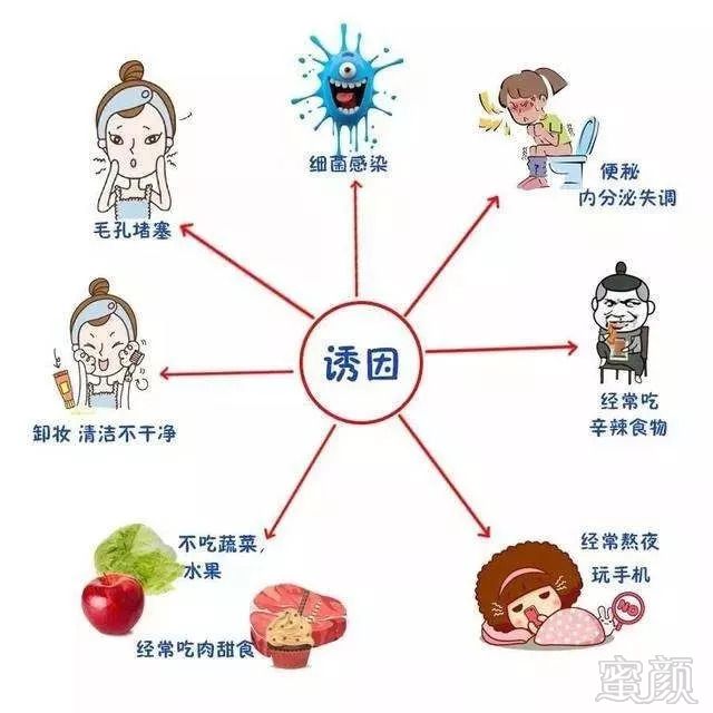 案例图片