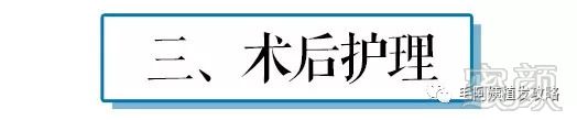 https://img.miyanlife.com/mnt/timg/180904/102P61T5-2.jpg