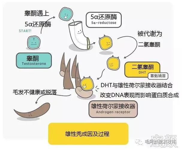 https://img.miyanlife.com/mnt/timg/180904/102U95I3-1.jpg