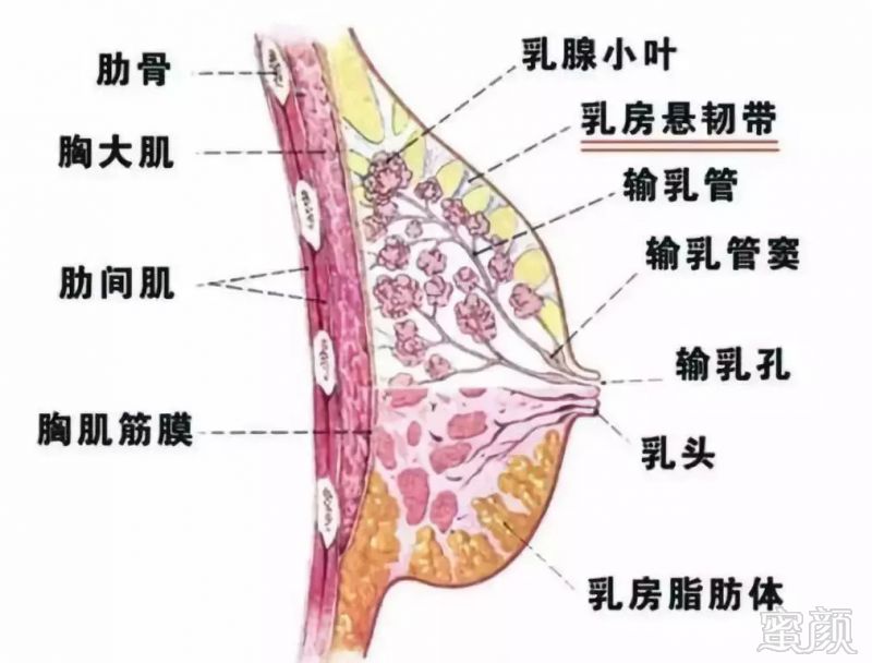 https://img.miyanlife.com/mnt/timg/180904/10331221R-5.jpg