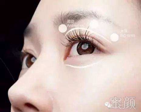https://img.miyanlife.com/mnt/timg/180904/1035013135-13.jpg