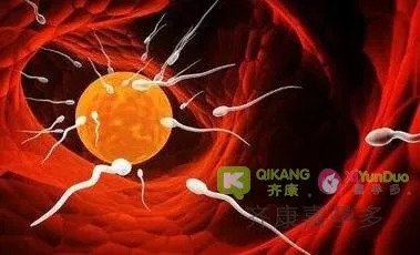 https://img.miyanlife.com/mnt/timg/180904/10541M554-4.jpg