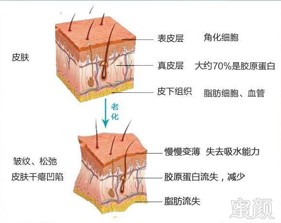 https://img.miyanlife.com/mnt/timg/180905/140433F21-6.jpg