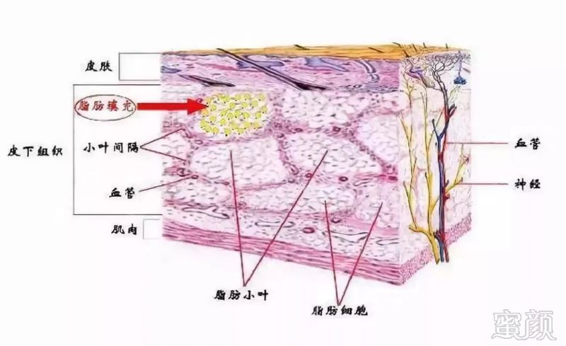 https://img.miyanlife.com/mnt/timg/180905/142242L23-2.jpg