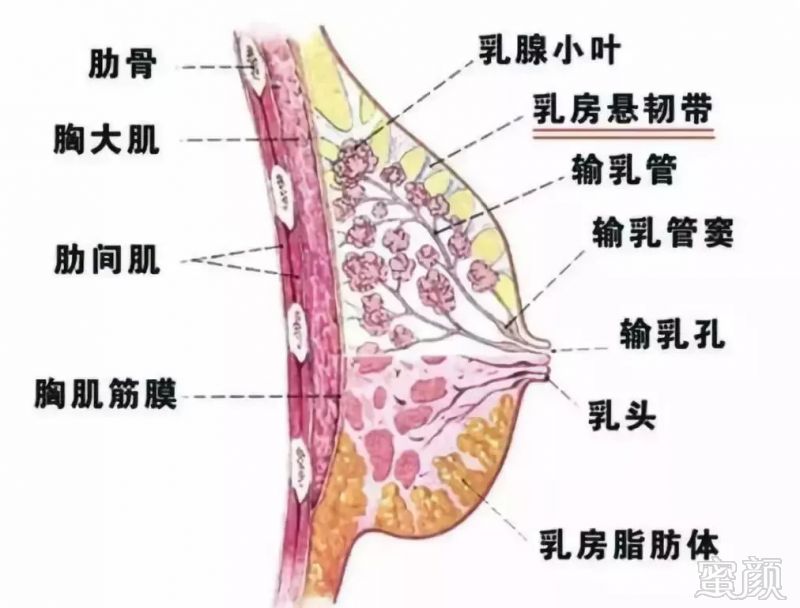 https://img.miyanlife.com/mnt/timg/180905/1422433091-3.jpg
