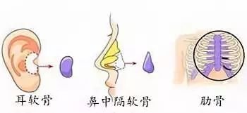 https://img.miyanlife.com/mnt/timg/180905/151H13H9-4.jpg