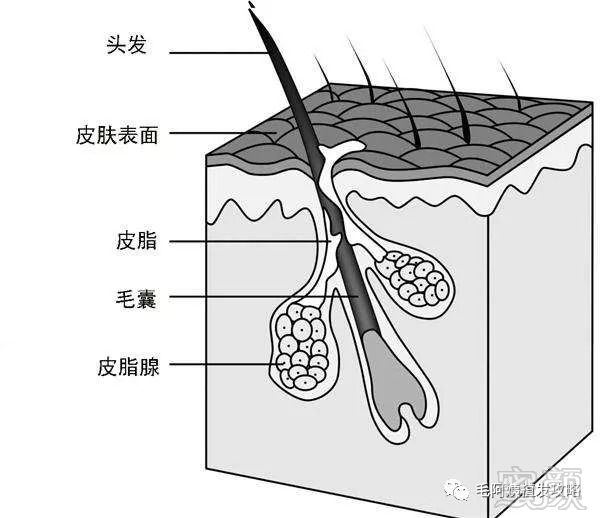 https://img.miyanlife.com/mnt/timg/180906/110T41J8-2.jpg