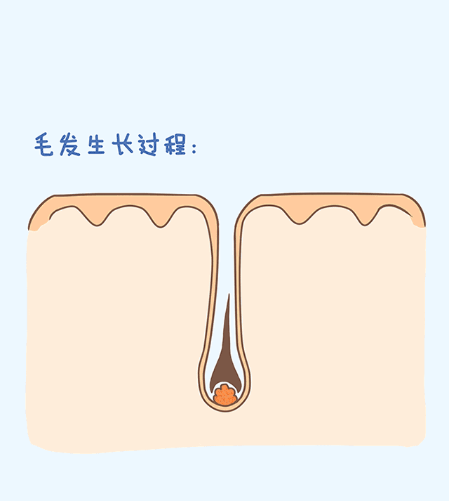 https://img.miyanlife.com/mnt/timg/180906/110T43163-3.jpg