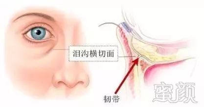 https://img.miyanlife.com/mnt/timg/180906/121251F45-5.jpg