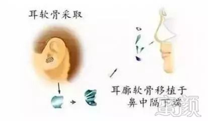 https://img.miyanlife.com/mnt/timg/180906/1253192136-7.jpg