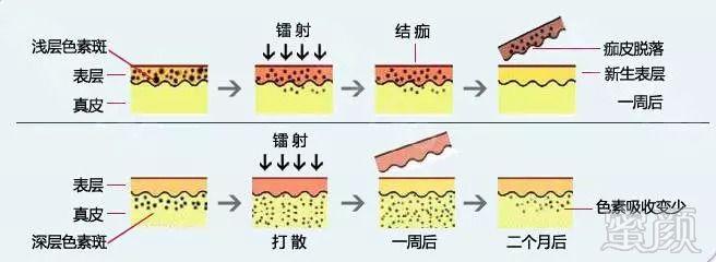 案例图片